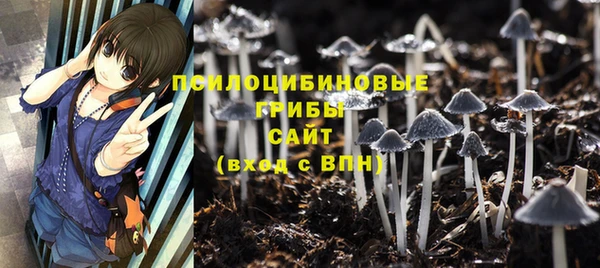 соль ск Балабаново